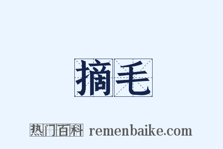 摘毛是什么意思的图片